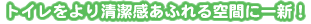 �g�C�������K�ȋ�ԂɈ�V�u����񕜁v